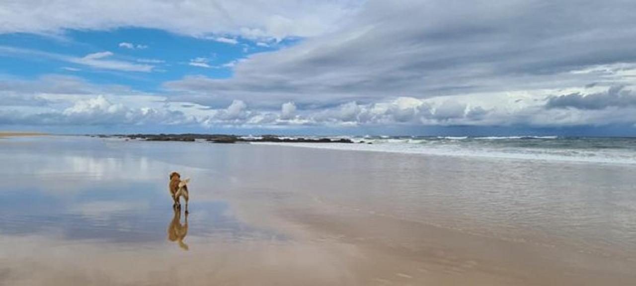 Diamond Beach Resort, Mid North Coast Nsw Zewnętrze zdjęcie